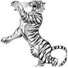 Visiter le lien menant aux Griffes du Tigre